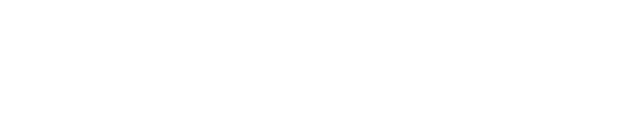 Noema Studio